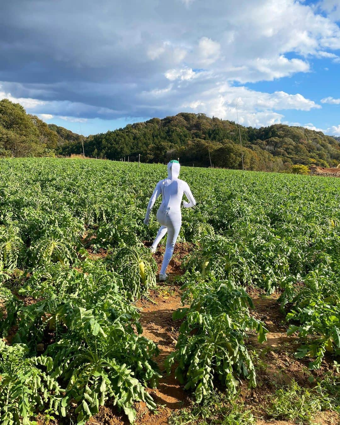 田村友里さんのインスタグラム写真 - (田村友里Instagram)「. ゴゴスマ「第2回ダレなんサー大賞」にて優勝しました😂 めちゃめちゃめちゃめちゃ嬉しいです。 応援してくださった皆様、心からありがとうございます✨ 世羅高原農場の大根は本当に大きくて甘いです。 今週末の大根まつりぜひ行ってみてください！ これからも"広島の夏目三久"を目指して日々精進します。  #ゴゴスマ #ダレなんサー大賞  #あの古舘さんに一票入れていただき感極まっております」11月3日 19時47分 - yuri_tamura0894