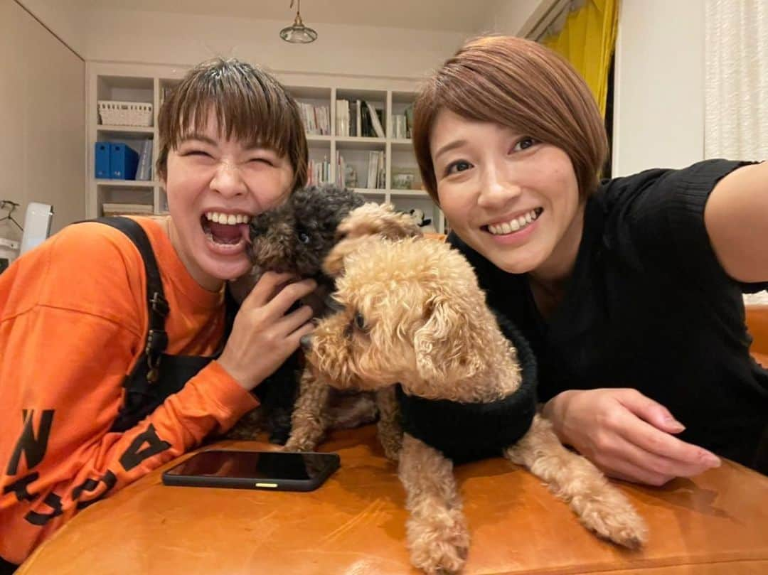 木村沙織さんのインスタグラム写真 - (木村沙織Instagram)「. いつも舞ちゃんが遊びきたら ケーキ買うのに ケーキまで行きついたことがない🎂w . . #しゅぷ🐶 #ぎゅう🐶 #まっくす🐶」11月3日 17時19分 - saoriiiii819