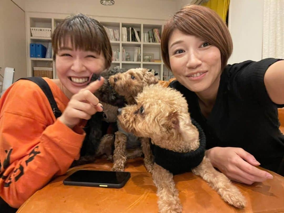 木村沙織さんのインスタグラム写真 - (木村沙織Instagram)「. いつも舞ちゃんが遊びきたら ケーキ買うのに ケーキまで行きついたことがない🎂w . . #しゅぷ🐶 #ぎゅう🐶 #まっくす🐶」11月3日 17時19分 - saoriiiii819