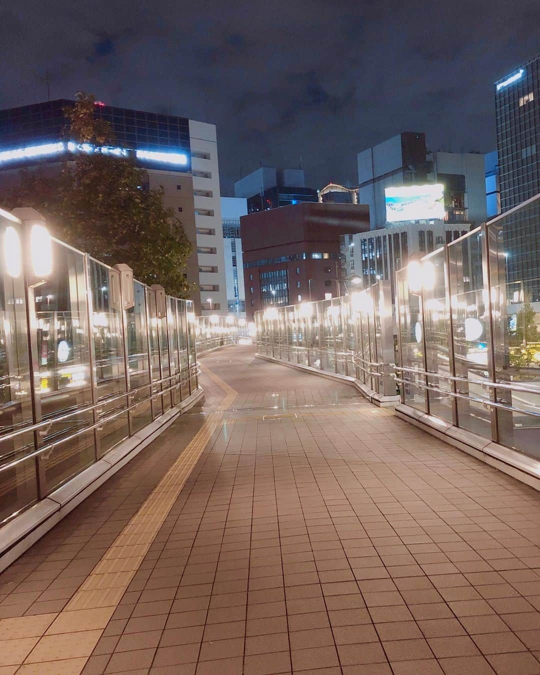 野澤しおりさんのインスタグラム写真 - (野澤しおりInstagram)「新橋にある歩道橋 ♪ 普段 使ってる歩道橋の4倍くらいの長さ😲夜は特にキレイです✨  この後 プチ迷子になってしまいました( ˊᵕˋ ;)💦  #夜の歩道橋 #野澤しおり」11月3日 18時39分 - n_shiori_ta