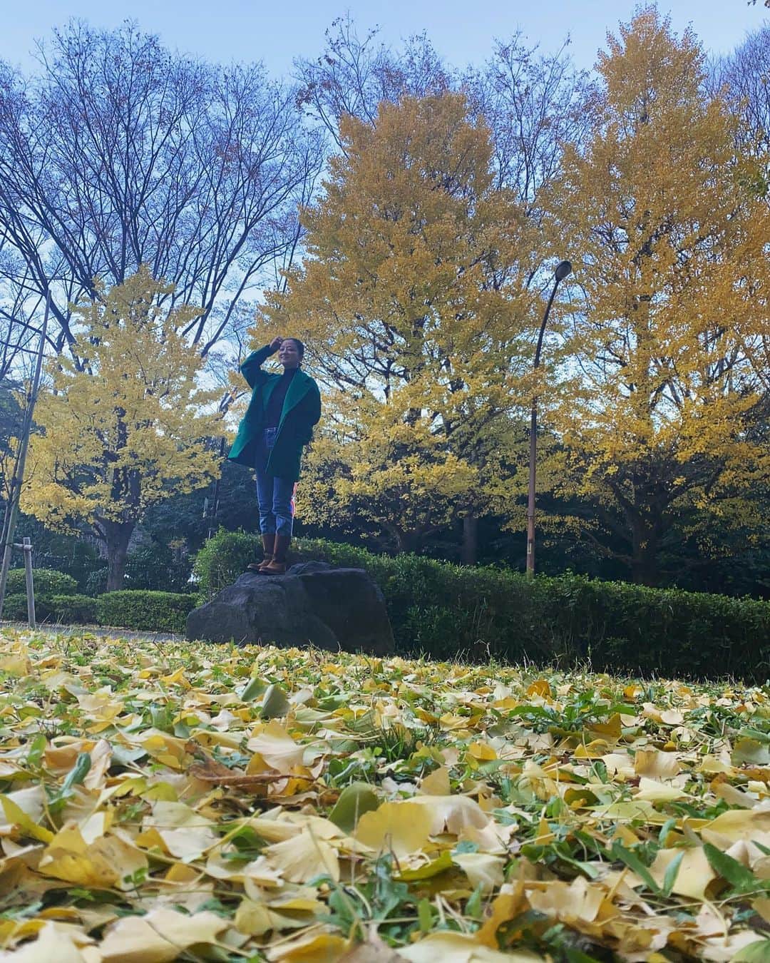 中越典子さんのインスタグラム写真 - (中越典子Instagram)「秋も終わりかしら イチョウの葉が色づき華やかっ  #癒し #アーユルヴェーダ #最高に気持ちいい #gracemaya」12月2日 15時55分 - nakagoshi_noriko.official