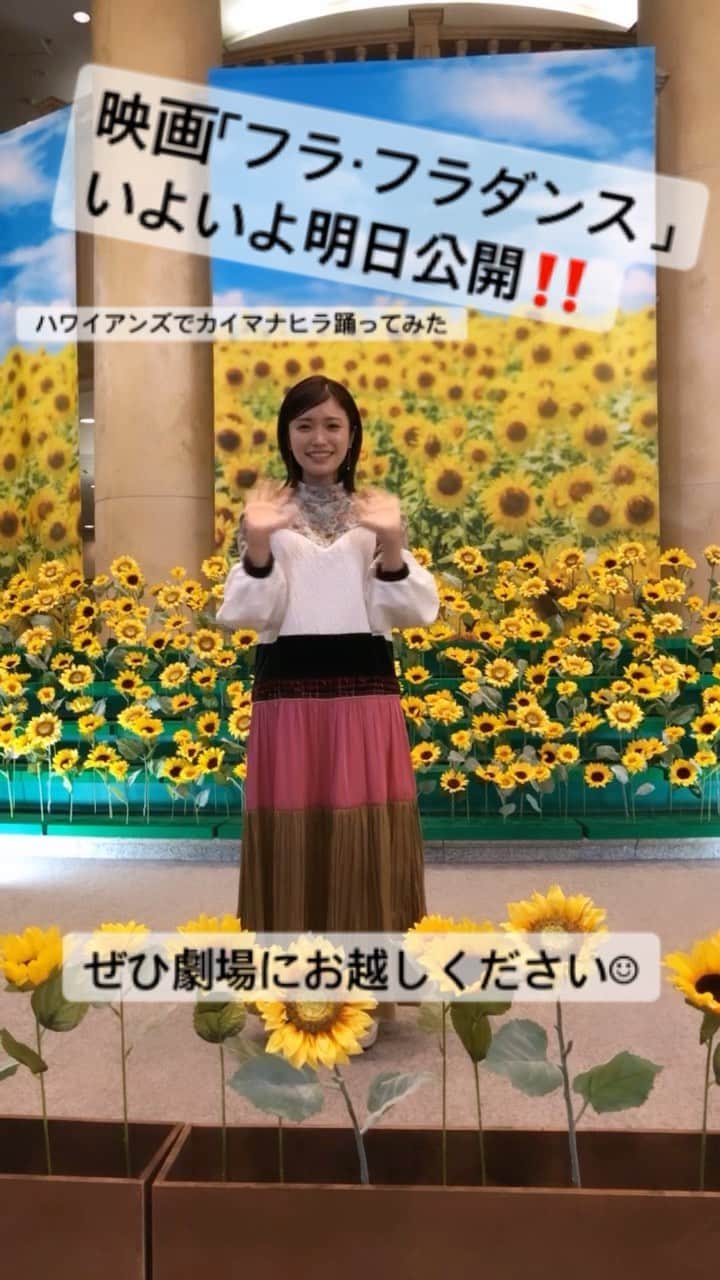美山加恋のインスタグラム：「いよいよ明日、映画「フラ・フラダンス 」が公開となります‼️  ようやく…という気持ちと、早いなぁ…という気持ち。  大好きなフラダンス。 先日映画の舞台となったスパリゾートハワイアンズさんにお邪魔したので、 映画のワンシーンのように沢山の向日葵に囲まれたステージで懐かしい曲を踊らせていただきました。  劇中でも新人フラガールたちが沢山の曲を踊っています。 ぜひ彼女たちの頑張る姿、見届けてください☺︎」