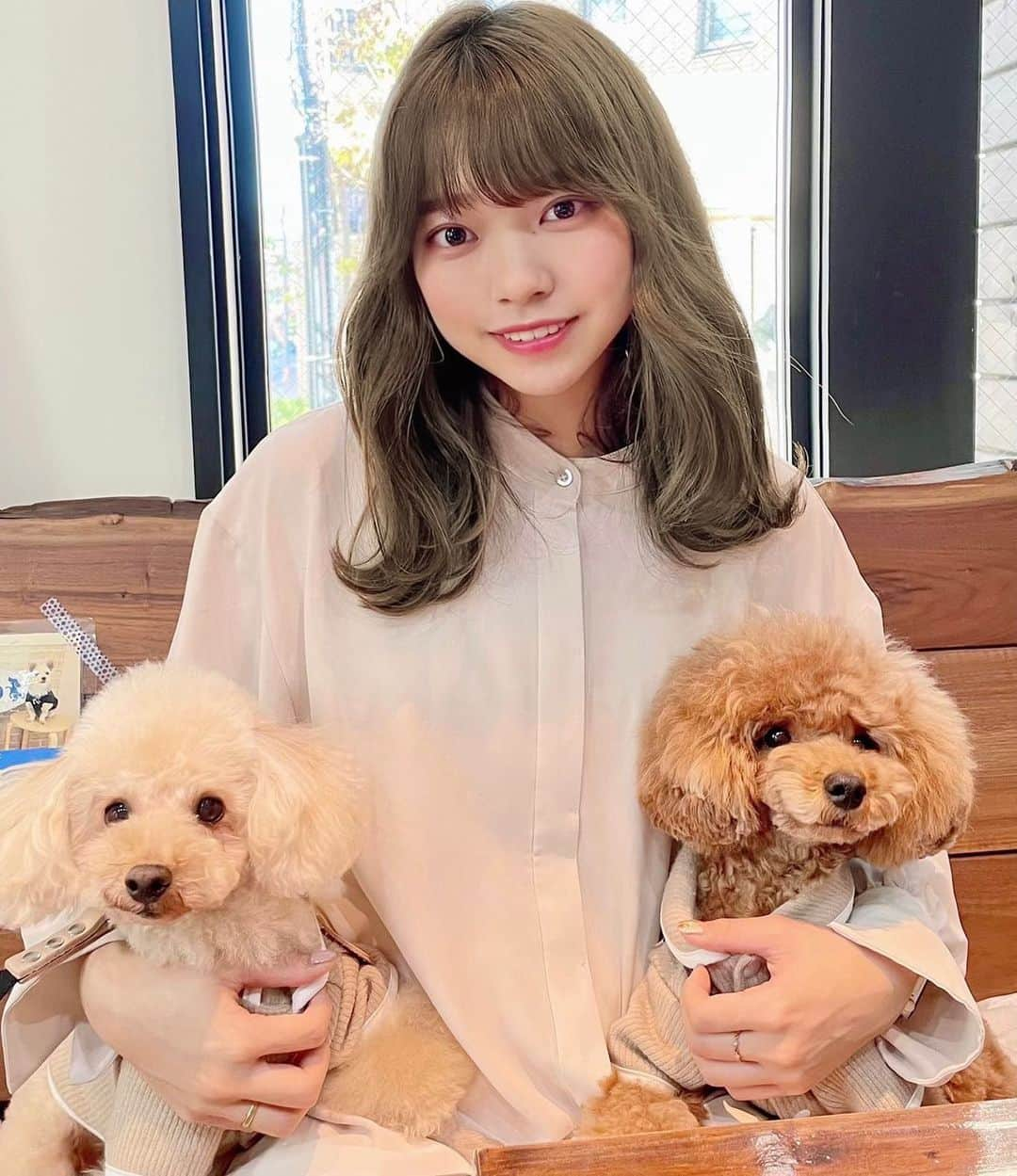 横山キラさんのインスタグラム写真 - (横山キラInstagram)「お友達のあんちゃんと、我が子のサラ🐶  ワンちゃんと店内でご飯食べれるの幸せ〜🥰  #ドッグカフェ #トイプードル #サロンモデル」12月2日 19時49分 - kira_yokoyama_