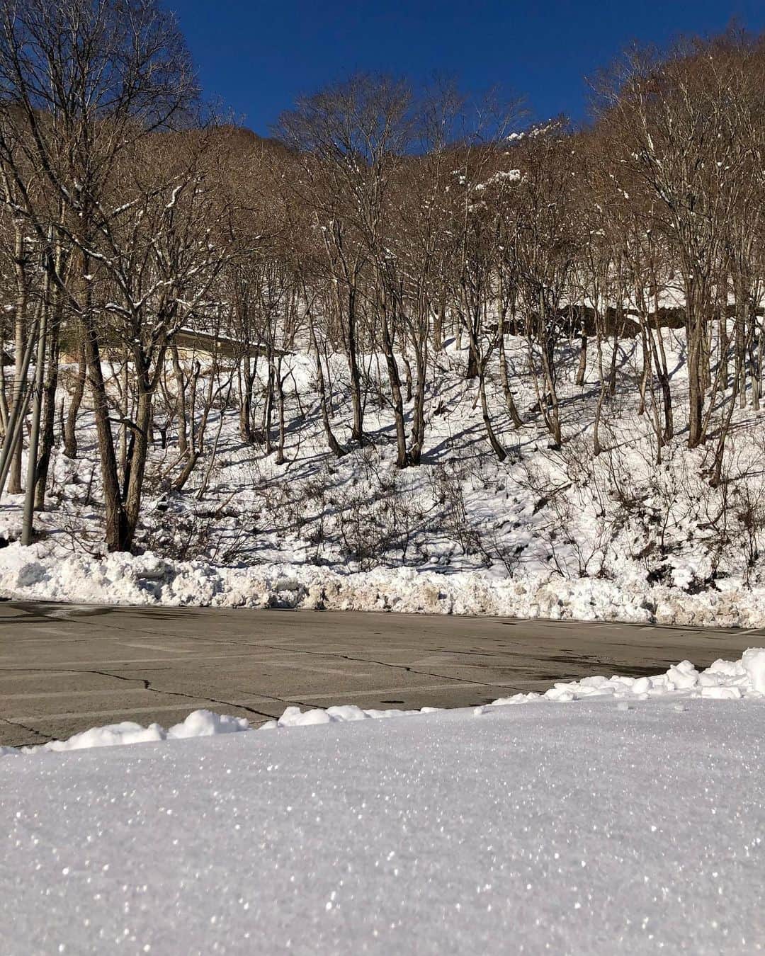 のインスタグラム：「❄️ . 今年初雪⛄️ 寒くて、案の定体調崩した😵😵 でも雪景色は綺麗だったなあ💭 . みなさんも体調にはくれぐれも気をつけて下さいね！ . #初雪 #群馬 #みなかみ町 #青空 #銀世界」