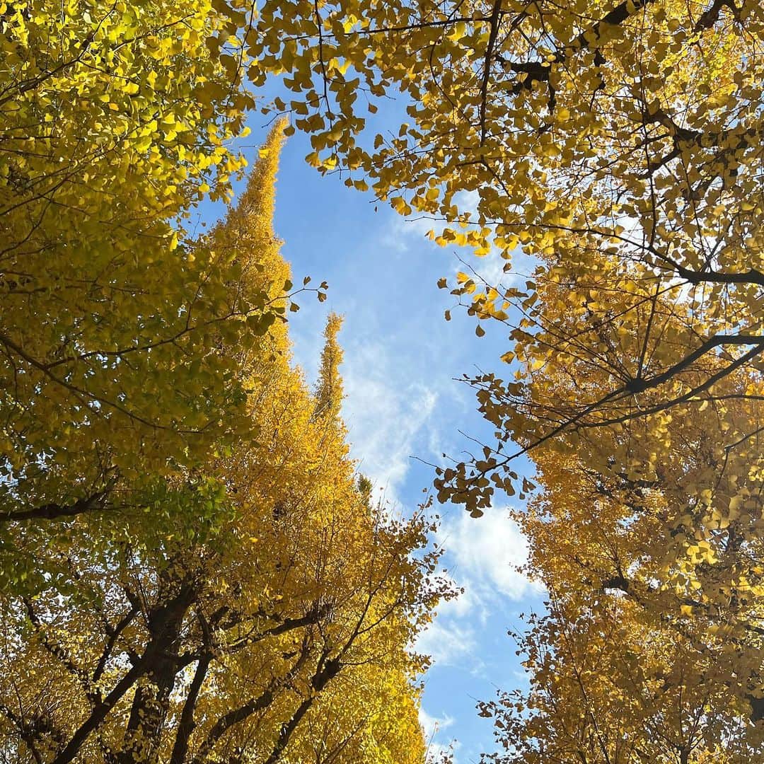 のインスタグラム：「🍂」