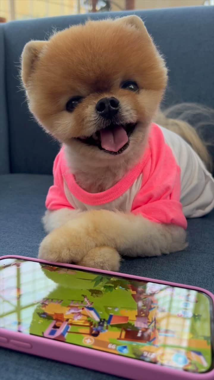 jiffのインスタグラム：「I ❤️ playing @farmville 3. So many CUTE animals. I can't stop playing. Download #FarmVille3 today 🥰🐣🐻 #ad https://zynga.social/qx0」