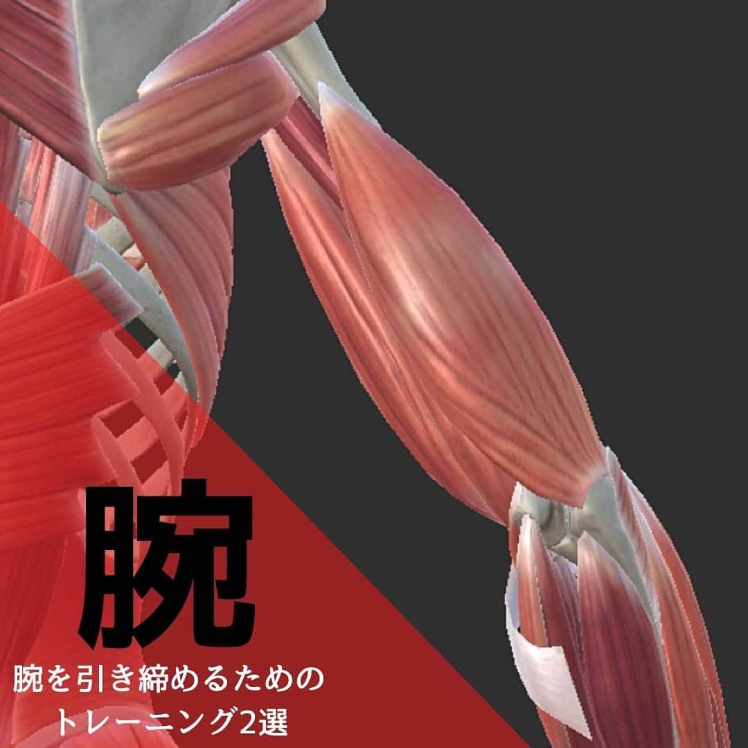 ファイラマッスルサプリ公式のインスタグラム