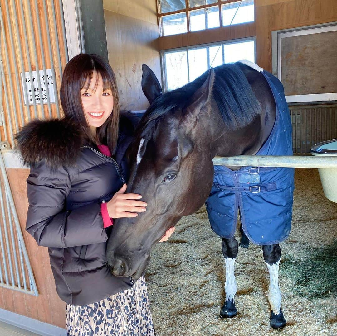 松中みなみさんのインスタグラム写真 - (松中みなみInstagram)「これがラストラン🏇 無敗の3冠馬✈︎コントレイル つよいつよい競馬で有終の美を飾りました🏆  ターフでこの姿を見るのは最後なんだと思うと残り200m辺りから涙止まらなかった😭  福永騎手のなみだや矢作先生や厩舎スタッフさんのあつい想い 色んな人の願いが渦巻いてて、こみ上がってきた😢  今年のジャパンカップは ダービー馬4頭、外国馬3頭が集結した華やかなメンバーの中で 無事に走り抜いたこと（なんだったらレース後ケロッとしててびっくり🤭） まだまだこれからどんどん強くなる馬だから引退は残念だけど、  第二の馬人生、種牡馬として この立派な血を繋いでって欲しいな✨  お疲れさまでした！しばらくゆっくりしてね🍀 またいつか会いに行きます☺️  #競馬 #ジャパンカップ #コントレイル #東京競馬場  #JAPANCUP #LONGINES」11月28日 19時31分 - minami_matsunaka