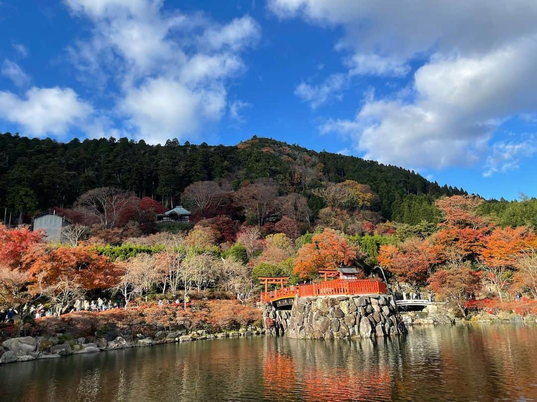 山田佳子のインスタグラム