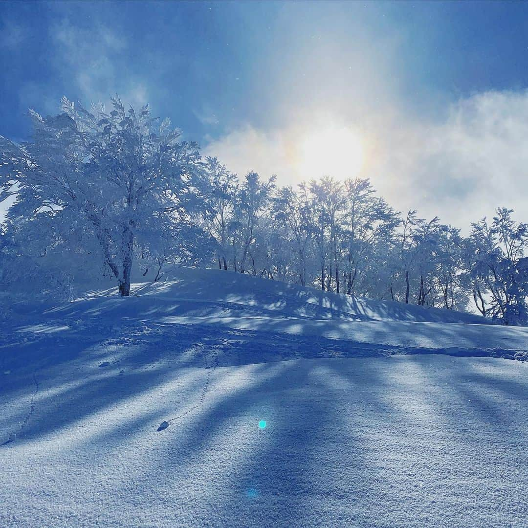 岩垂かれんさんのインスタグラム写真 - (岩垂かれんInstagram)「一気に冬が来た感じしますね〜  毎年この冬が迫ってくる感じがすき スノーボードに出会って18年 いくつになっても このワクワクする気持ちは消えないなあ☺️  冬支度はできてますか？ わたしは今日初滑りの日がきまったところです❄️」11月28日 19時44分 - kareniwadare