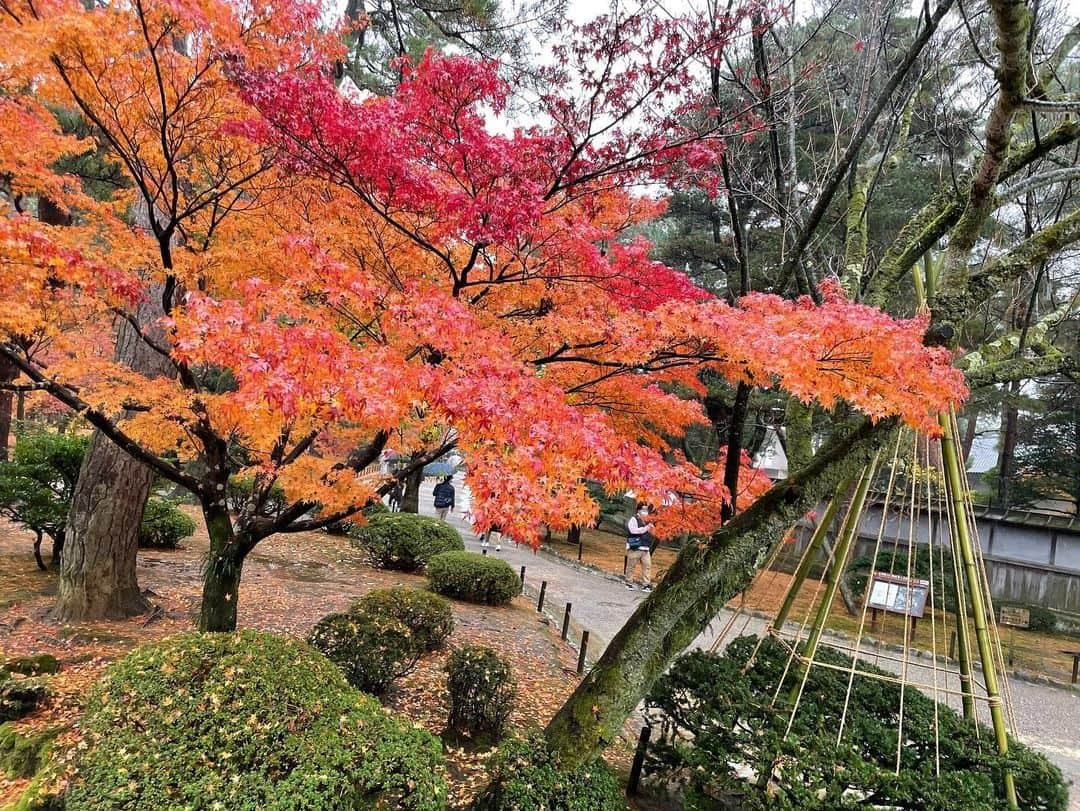 すんさんのインスタグラム写真 - (すんInstagram)「金沢旅行実はそこそこ楽しんできました！！ 雨だったのが少し残念やったけど美味しいもの食べれて大満足でした！！！」11月28日 19時41分 - sun_sekibun