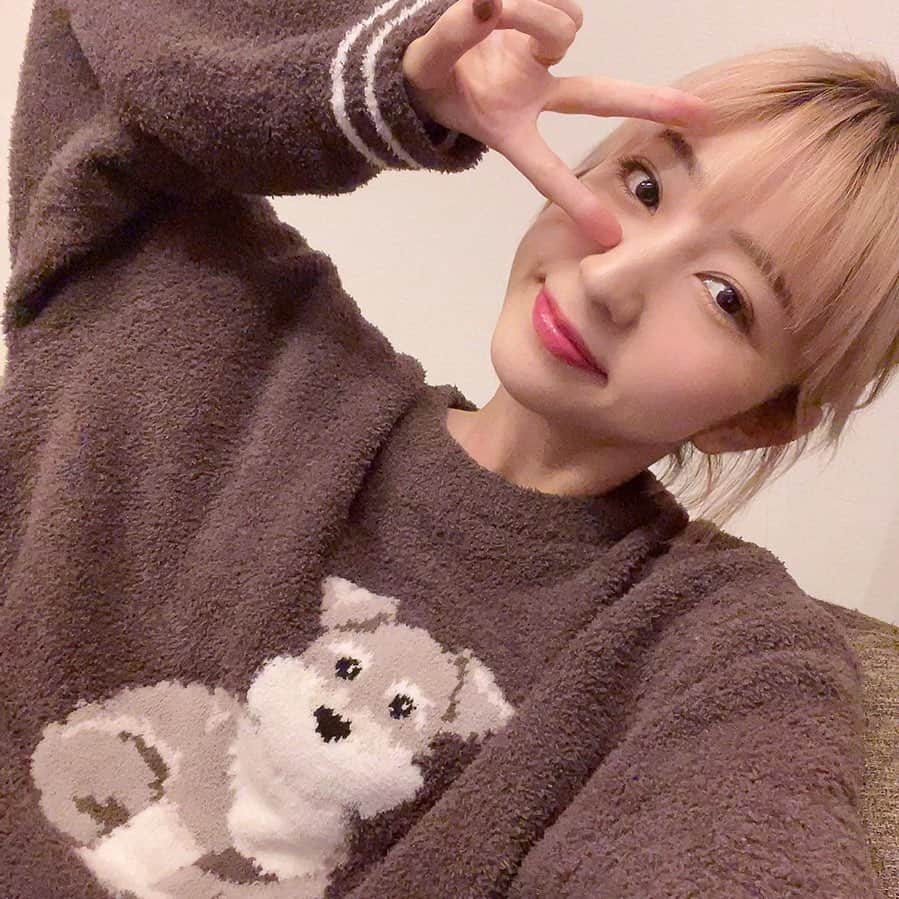 松尾 瞳のインスタグラム：「. こないだのスウェットといい 服に動物飼いがち〜🐕🥳 (ヨーキースウェット再入荷してるよ)  ジェラピケって毎回毎回しっかりキュンとくるアイテム 出してくれるのすごいんだけど？？そんなにパジャマ いらないのに毎シーズンしっかり買わされている。」