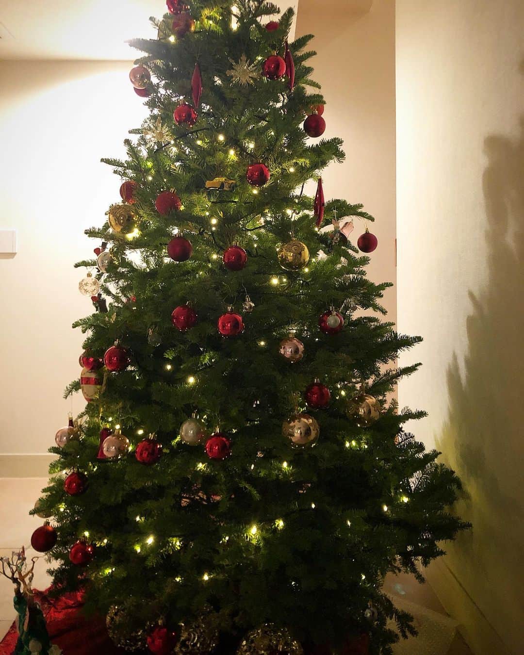 内田恭子さんのインスタグラム写真 - (内田恭子Instagram)「Holiday season is here!!  我が家にもクリスマスシーズンがやってきました。もみの木のいい香りをしばらく楽しみます。  #christmastree #holidayseason #christmas #クリスマス #クリスマスシーズン到来 #クリスマスツリー #もみの木 #内田恭子 #kyokouchida」11月28日 22時49分 - kyoko.uchida.official