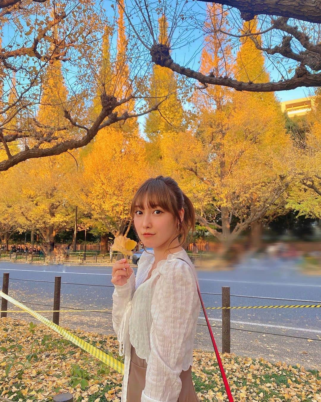 amiさんのインスタグラム写真 - (amiInstagram)「11月の締めくくり🍂 #いちょう並木」11月28日 23時08分 - amidesudoumo