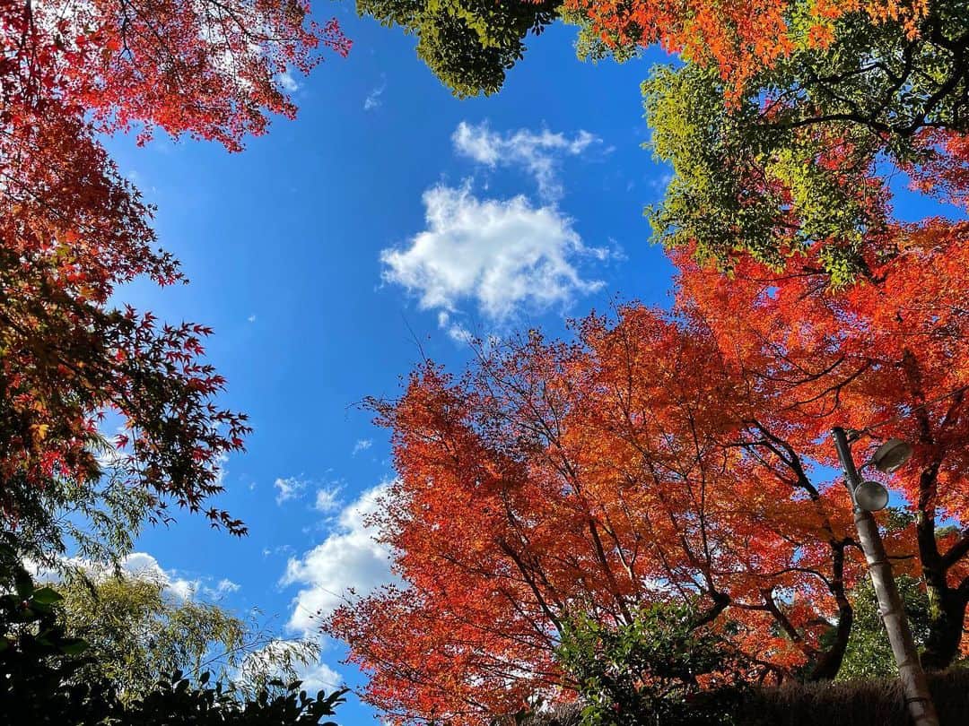 白戸ゆめののインスタグラム