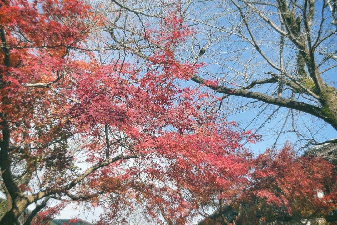山下もえのインスタグラム