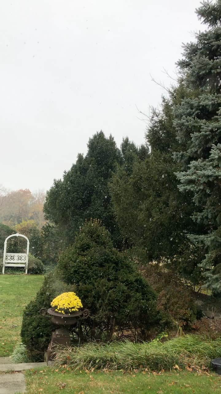 スーザン・ルッチのインスタグラム：「The first snowfall!!! Kinda slow-fall and sparse, BUT magic nonetheless!!! Let the Christmas season begin!!! 🎄🎄🎄 Happy Hanukkah today🌟🌟🌟」