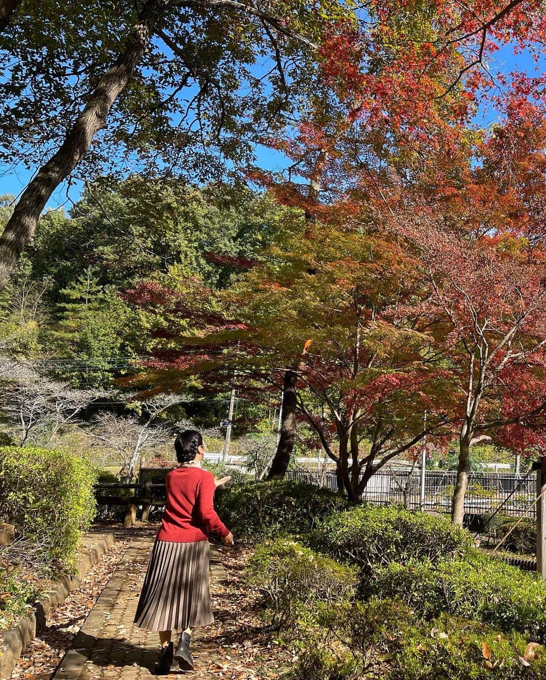 宮崎美子さんのインスタグラム写真 - (宮崎美子Instagram)「皆さん、おはようございます。  日々季節が進み、寒くなりますね。  そんな中、昨日のYouTubeよしよし。では、秋の素晴らしい景色をたっぷりと堪能していただける、童謡「赤とんぼ」と「里の秋」のミュージックビデオを公開させていただきました。  とにかく、まずは、阿蘇の素晴らしい雲海の景色を是非、ご覧ください。  そして、東京近郊の武蔵村山市へ秋を探しに出かけております。  お楽しみください。  YouTubeよしよし。  https://youtu.be/E6rtoH5xGi0  #童謡 #赤とんぼ #里の秋 #阿蘇 #雲海 #武蔵村山」11月29日 10時35分 - miyazakiyoshiko.official