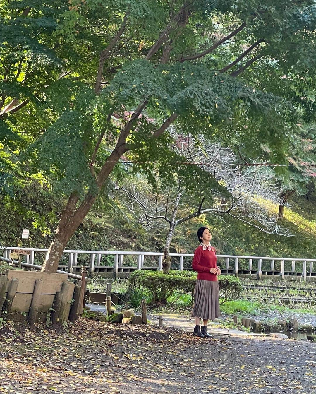 宮崎美子さんのインスタグラム写真 - (宮崎美子Instagram)「皆さん、おはようございます。  日々季節が進み、寒くなりますね。  そんな中、昨日のYouTubeよしよし。では、秋の素晴らしい景色をたっぷりと堪能していただける、童謡「赤とんぼ」と「里の秋」のミュージックビデオを公開させていただきました。  とにかく、まずは、阿蘇の素晴らしい雲海の景色を是非、ご覧ください。  そして、東京近郊の武蔵村山市へ秋を探しに出かけております。  お楽しみください。  YouTubeよしよし。  https://youtu.be/E6rtoH5xGi0  #童謡 #赤とんぼ #里の秋 #阿蘇 #雲海 #武蔵村山」11月29日 10時35分 - miyazakiyoshiko.official