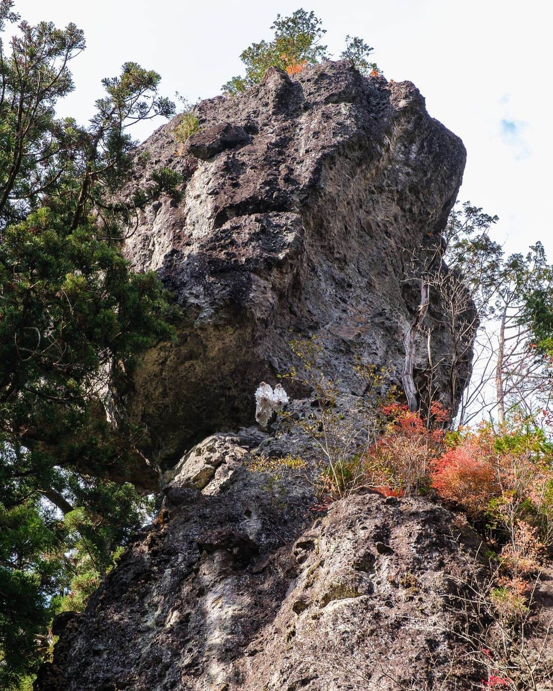 SHOCK EYEさんのインスタグラム写真 - (SHOCK EYEInstagram)「神社好きなら必ず名をあげるパワースポット、群馬県の榛名神社⛩ 明らかに雰囲気が他の場所とは違う。  清らかな沢と奇岩・巨岩に囲まれた地形によって修験道の霊場としても有名で、 紅葉の時期は、本当に色彩が豊か。  夕暮れになると鳥居の間に夕日が沈み、とても綺麗なオレンジの空だったよ✨  苔むした参道といい、いつ来てもいい感じ＾＾  社殿は長いこと修繕してるから、全てが綺麗になった社殿をまた見に行きたいな＾＾  #榛名神社 #群馬県 #harunashrine #gunmaprefecture #japantravel #japantrip #fujifilm #gfx100s #xs10 #beautifuldestinations #discoverjapan #discoverearth #voyaged #awesome_photographers #IamATraveler #wonderful_places #japanphoto #japanphotography #japan_of_insta #livingonearth #theglobewanderer」11月29日 11時01分 - shockeye_official