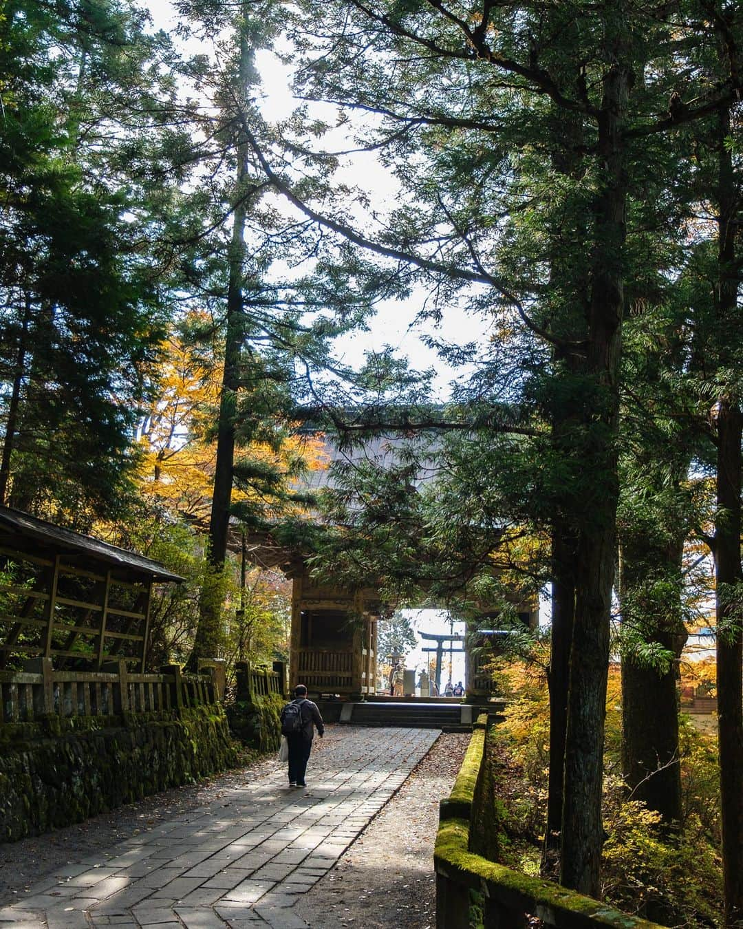 SHOCK EYEさんのインスタグラム写真 - (SHOCK EYEInstagram)「神社好きなら必ず名をあげるパワースポット、群馬県の榛名神社⛩ 明らかに雰囲気が他の場所とは違う。  清らかな沢と奇岩・巨岩に囲まれた地形によって修験道の霊場としても有名で、 紅葉の時期は、本当に色彩が豊か。  夕暮れになると鳥居の間に夕日が沈み、とても綺麗なオレンジの空だったよ✨  苔むした参道といい、いつ来てもいい感じ＾＾  社殿は長いこと修繕してるから、全てが綺麗になった社殿をまた見に行きたいな＾＾  #榛名神社 #群馬県 #harunashrine #gunmaprefecture #japantravel #japantrip #fujifilm #gfx100s #xs10 #beautifuldestinations #discoverjapan #discoverearth #voyaged #awesome_photographers #IamATraveler #wonderful_places #japanphoto #japanphotography #japan_of_insta #livingonearth #theglobewanderer」11月29日 11時01分 - shockeye_official