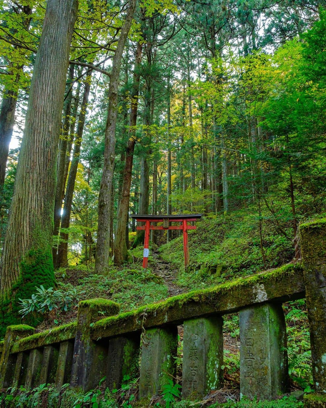 SHOCK EYEさんのインスタグラム写真 - (SHOCK EYEInstagram)「神社好きなら必ず名をあげるパワースポット、群馬県の榛名神社⛩ 明らかに雰囲気が他の場所とは違う。  清らかな沢と奇岩・巨岩に囲まれた地形によって修験道の霊場としても有名で、 紅葉の時期は、本当に色彩が豊か。  夕暮れになると鳥居の間に夕日が沈み、とても綺麗なオレンジの空だったよ✨  苔むした参道といい、いつ来てもいい感じ＾＾  社殿は長いこと修繕してるから、全てが綺麗になった社殿をまた見に行きたいな＾＾  #榛名神社 #群馬県 #harunashrine #gunmaprefecture #japantravel #japantrip #fujifilm #gfx100s #xs10 #beautifuldestinations #discoverjapan #discoverearth #voyaged #awesome_photographers #IamATraveler #wonderful_places #japanphoto #japanphotography #japan_of_insta #livingonearth #theglobewanderer」11月29日 11時01分 - shockeye_official