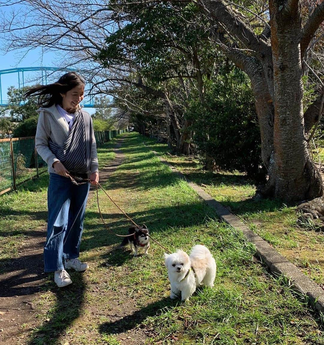 小野真弓さんのインスタグラム写真 - (小野真弓Instagram)「おはようございます☺️ 田んぼに霜がおりて真っ白⛰❄️ 今日は一日お外でロケ🌴 楽しみです🙋‍♀️✨ 行ってきまーす🚌  今日もそれぞれの〜 良い一日を＼(^^)／🍀  #衣装#花柄好き#ロングワンピ #お仕事かーさん #チワワ#ハナちゃん #チワマル#ハルくん #雑種猫兄妹#アオくん#ナナちゃん #犬と猫のいる暮らし#犬猫日記#千葉暮らし 🐾 #預かり子猫3兄妹  #里親募集#生後2ヶ月 #ぶーちゃん#長毛黒猫 #ふーくん#ハチワレ #うーくん#黒猫 #保護猫#野良猫#地域猫 🐱🐱🐱 猫風邪も良くなり🐽お目目すっきり👀 虫さんもやっと居なくなり💩🪱 日に日に、元気に❣️いたずらっ子😈 子猫にゃんず🐾 むくむく、むちむち、ふわふわ 可愛いくて悶絶✨✨✨🤤」11月29日 7時26分 - hanaharuaroi