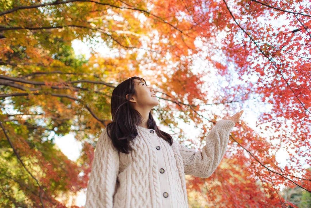 尾上彩さんのインスタグラム写真 - (尾上彩Instagram)「Beautiful gradation of autumn leaves🍁🍁🍁 ・ 秋のグラデーションって本当にきれい☺️🍁 ・ Photo by @yuki_hiroshige 🐸 #秋 #紅葉 #autumn #autumnleaves #🍁」11月29日 20時00分 - aya_onoe