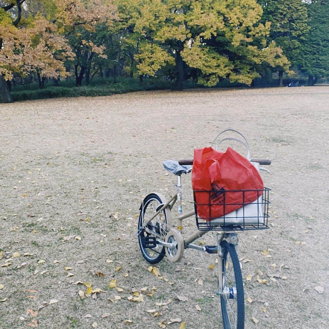 高田夏帆さんのインスタグラム写真 - (高田夏帆Instagram)「思い付いたら自転車走らせてた ふと降りてきた、降りてきた降りてきた あーー自由って個性 大人の自由研究的感覚 ps.高校の頃から使ってるこの子 この間初めてタイヤ変えた ベージュから色塗り変えちゃおかね」11月29日 15時09分 - takadakaho