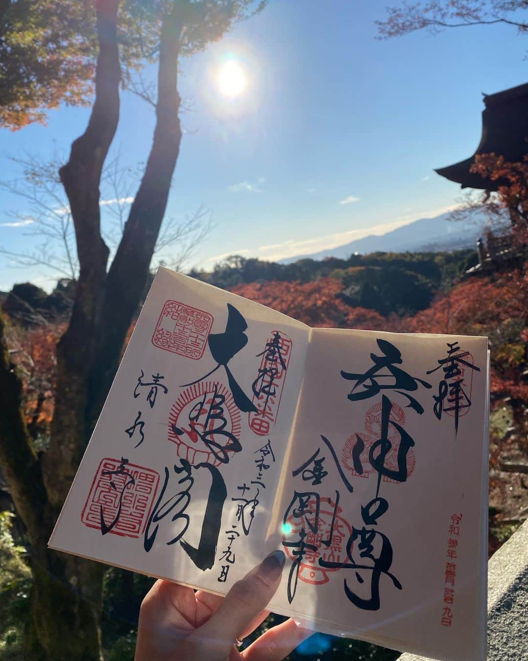 酒井麻里（Juri）さんのインスタグラム写真 - (酒井麻里（Juri）Instagram)「今日は良い天気で暖かい 観光びより🌼  御朱印もいただきました🍁」11月29日 16時10分 - jurixoxoxo