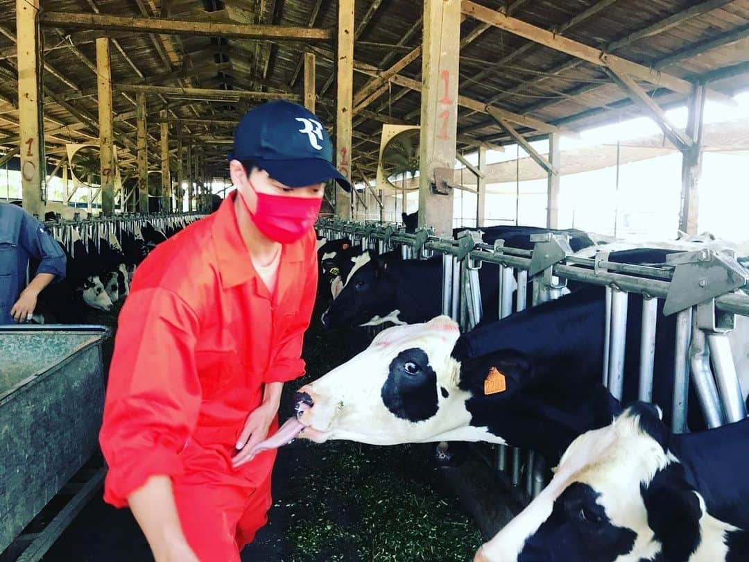 江宏傑さんのインスタグラム写真 - (江宏傑Instagram)「今天晚上要接生小牛啦🐄 還有幫牛產檢 產檢的過程呢…. 你們自己看好了😂 真的很幸運 好特別的經驗  今天的內容真的很精彩 #今晚22:00三立都會台 @justeat30  @howscamplife  #就是這味」11月29日 17時19分 - chiang_hung_chieh