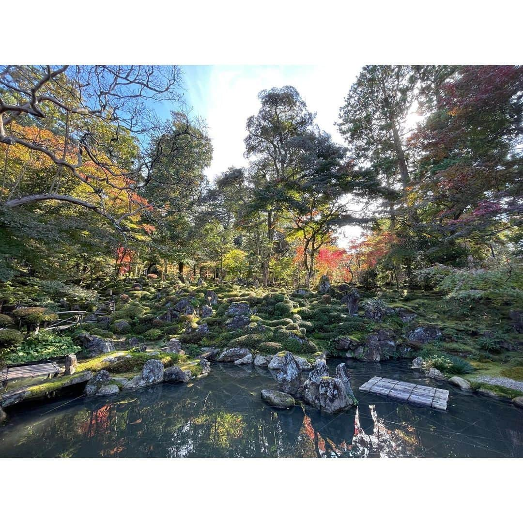 神野友亜さんのインスタグラム写真 - (神野友亜Instagram)「先日、滋賀県の #西明寺 に行きました‼︎  お寺も庭園もすごく神秘的でした…。 緑の苔がとっても綺麗で…‼︎ 心が洗われました。 今はきっと、紅葉が綺麗です🍁 皆さんも滋賀県に行った際はぜひ…‼︎  本日もお疲れ様でした🍁」11月29日 18時46分 - yua_sard