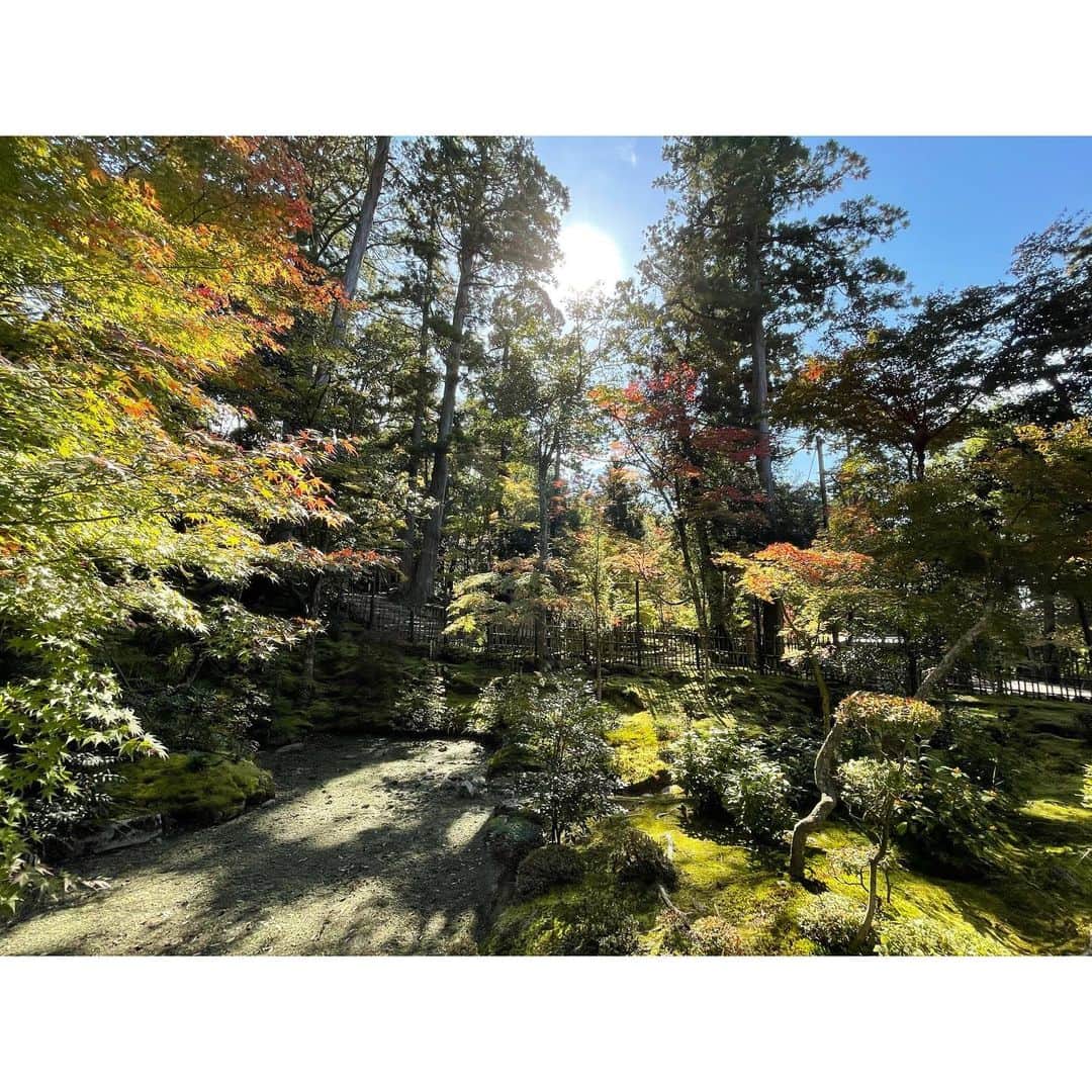 神野友亜さんのインスタグラム写真 - (神野友亜Instagram)「先日、滋賀県の #西明寺 に行きました‼︎  お寺も庭園もすごく神秘的でした…。 緑の苔がとっても綺麗で…‼︎ 心が洗われました。 今はきっと、紅葉が綺麗です🍁 皆さんも滋賀県に行った際はぜひ…‼︎  本日もお疲れ様でした🍁」11月29日 18時46分 - yua_sard