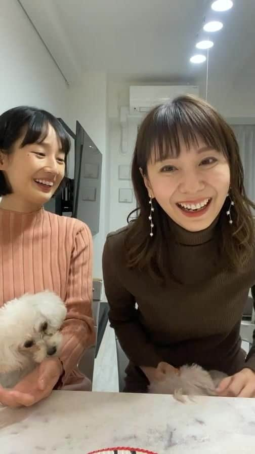 麻美ゆまのインスタグラム：「12/10(金)20:00〜香帆ちゃんと配信イベントやります🌟詳しい内容はTwitterに載せてます🙇‍♀️」