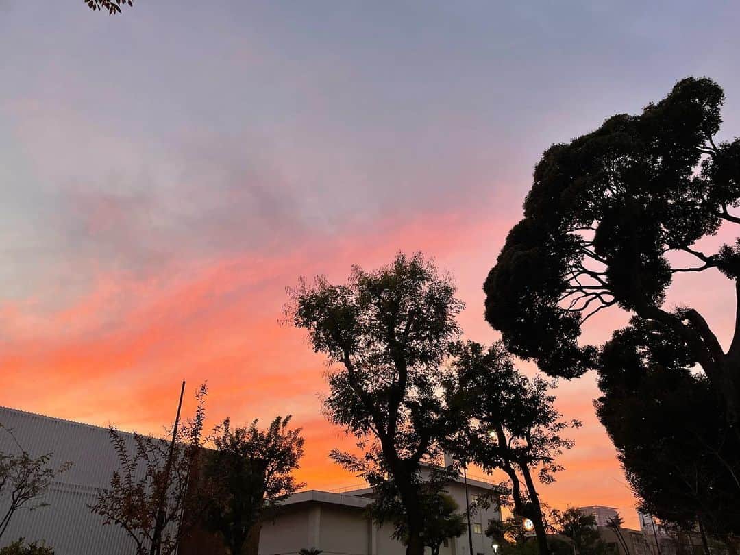 笛木優子のインスタグラム：「寒くなったからか空気が澄んで夕焼けが綺麗な日が多いですね〜🌆 紅葉🍁ももう終わりかな〜  #노을 #가울 #반스 #11월」