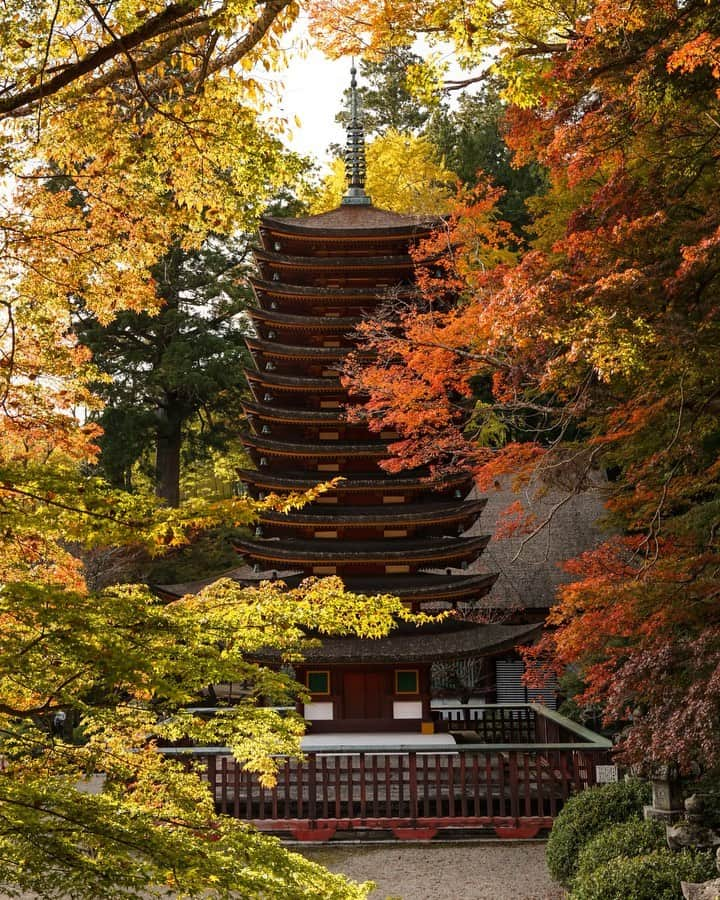 Koichiのインスタグラム：「.  Season is already heading for winter.  あっ………という間に冬ですね💦  #BeautifulJapan #Hellofrom #Nara #談山神社 #奈良  .」