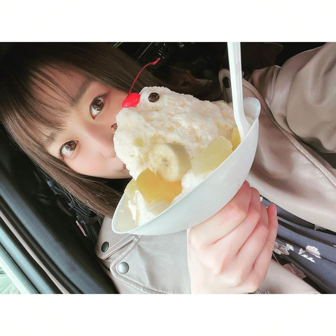 川崎芹奈さんのインスタグラム写真 - (川崎芹奈Instagram)「2年ぶりのパパと九州旅行💫  今年は大阪からフェリーで鹿児島へ🛳その後もフェリーと車で九州をぐるぐるしました💫  大阪が大好きなので、1人で前乗りして美味しいものたくさん食べた😋💖大阪は一つの街でぜんぶ揃ってるからちょっと旅するのに最高な街♡また近々3回くらい行きたい🚅  フェリーにははじめて乗ったけど船は大好きなので定期的にお外に出てたくさん海を見ました🏖  さんふらわあはでっかくて中も豪華で、曇ってたけど大浴場から海が見えて感動的だった！ あのオリジナルの音楽はまた聴きたいところです。  今回も沢山ごはん食べたけど、熊本のご飯がとっても好みだった♡ 帰ってきた今も馬刺しが食べたい🐴  福岡では安定の牧のうどんと犬の仲間達に会えて楽しかった♡  今年は長めのお休みをもらって、3泊4日。 毎晩パパと晩酌して楽しかった〜🍻　 普段あんまりビール飲まないけど、旅行中に飲むビールが美味しすぎて 大人になった気分です🤭  いい休日を過ごせました🤍 また来年も行きたいなあ〜♬  #九州旅行　#さんふらわあ  #熊本グルメ #たこ焼き　 #しろくま #シェットランドシープドック」11月29日 22時34分 - serina_yss