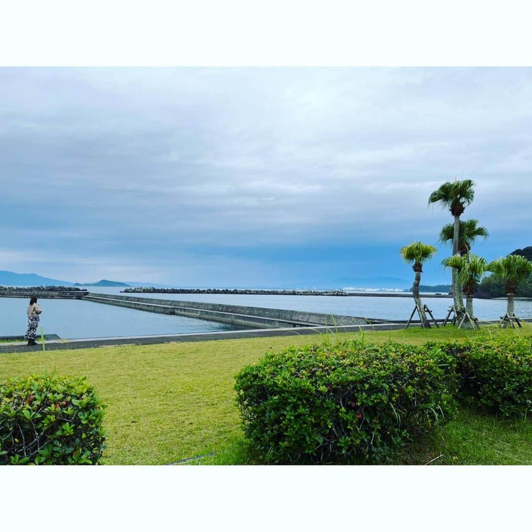 川崎芹奈さんのインスタグラム写真 - (川崎芹奈Instagram)「2年ぶりのパパと九州旅行💫  今年は大阪からフェリーで鹿児島へ🛳その後もフェリーと車で九州をぐるぐるしました💫  大阪が大好きなので、1人で前乗りして美味しいものたくさん食べた😋💖大阪は一つの街でぜんぶ揃ってるからちょっと旅するのに最高な街♡また近々3回くらい行きたい🚅  フェリーにははじめて乗ったけど船は大好きなので定期的にお外に出てたくさん海を見ました🏖  さんふらわあはでっかくて中も豪華で、曇ってたけど大浴場から海が見えて感動的だった！ あのオリジナルの音楽はまた聴きたいところです。  今回も沢山ごはん食べたけど、熊本のご飯がとっても好みだった♡ 帰ってきた今も馬刺しが食べたい🐴  福岡では安定の牧のうどんと犬の仲間達に会えて楽しかった♡  今年は長めのお休みをもらって、3泊4日。 毎晩パパと晩酌して楽しかった〜🍻　 普段あんまりビール飲まないけど、旅行中に飲むビールが美味しすぎて 大人になった気分です🤭  いい休日を過ごせました🤍 また来年も行きたいなあ〜♬  #九州旅行　#さんふらわあ  #熊本グルメ #たこ焼き　 #しろくま #シェットランドシープドック」11月29日 22時34分 - serina_yss