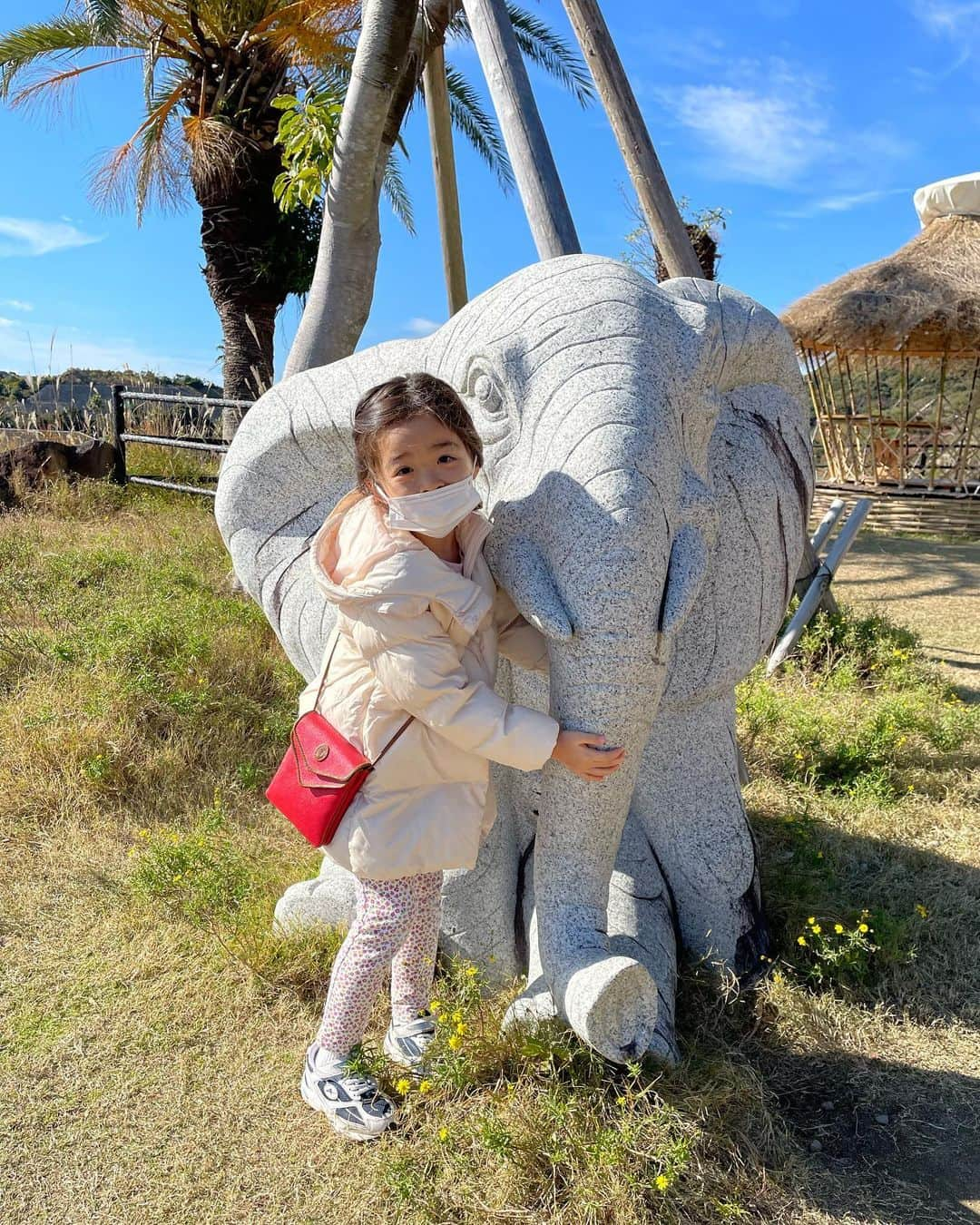 中岡由佳さんのインスタグラム写真 - (中岡由佳Instagram)「番外編。あちこちに動物のオブジェがあって、写真を撮りながら歩きました。私の手に乗せたのは本物のサイです🦏笑 #アドベンチャーワールド #adventureworld」11月30日 0時22分 - yuka_nakaoka