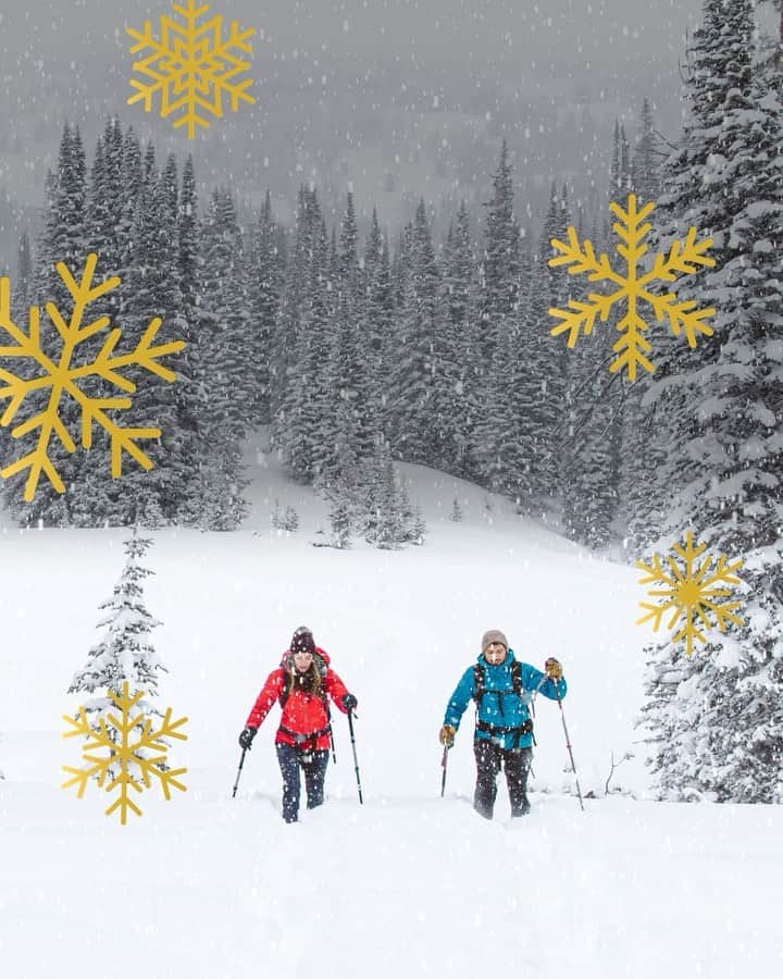 オボズのインスタグラム：「The Dealer Nice List is back!  Nominate your favorite Oboz dealer for the Oboz Footwear Dealer Nice List 🥾  Here’s how you can help your local store win $500 and a staff pizza party:  Fill out the nomination form with the name of your favorite store location (link in bio) by Tuesday, December 21.   On Wednesday, December 22, Oboz Footwear will announce the winner of the Dealer Nice List.🌟   Support your local outdoor retailer this holiday season and help them land a spot on the Dealer Nice List! 🌲  Details: one entry per email address, please. Enter before Tuesday, December 21 at 5pm MT. No purchase necessary. Giveaway is not affiliated with Instagram in any way. Entries will only be collected through submitting the online form on obozfootwear.com」