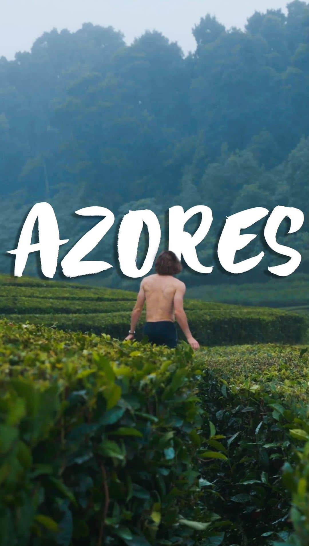 ステファノス・シチパスのインスタグラム：「I document my travels so I never forget the adventures that I get to be a part of.   On my latest Youtube video I wander around São Miguel Island, a jungle that has breathtaking sceneries, and home to the oldest tea plantation in Europe.  A trip like this one makes me realise how travelling is the healthiest addiction out there. #Azores 🇵🇹」