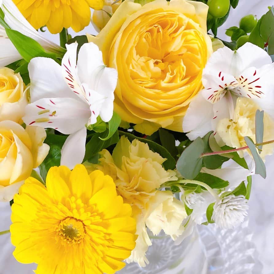 美香さんのインスタグラム写真 - (美香Instagram)「おはようございます☀  今日はお花屋さんに寄ろう💐 たのしみ　たのしみ。」11月30日 6時50分 - mikaofficial99