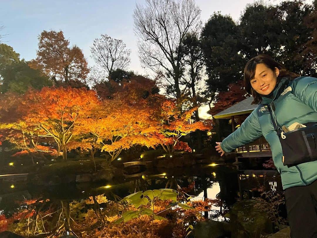 篠原梨菜さんのインスタグラム写真 - (篠原梨菜Instagram)「#朝5時の絶景TIME 鏡のような水面に映る紅葉！  今朝は東京・杉並区　大田黒公園からお伝えしました！ 都内有数の紅葉スポットである大田黒公園。日本庭園として美しく整備されています。現在期間限定でライトアップイベントが行われています。 園内の池の周りでは、鏡のような水面に映る紅葉を楽しめます！ 今朝は風もほとんどなく、早朝の冷たい空気の中まるで別世界のような景色でした...！ OAの直前に1羽の鴨が池に飛び込んだのですが、その波紋が広がる様子も、静まっていく様子も風情がありました☺️ ライトアップが始まる午後5時直後は人が多いので、平日の午後7時ごろがおすすめの時間帯だそうです！ ライトアップは日曜日まで楽しめます！  #thetime_tbs  #大田黒公園  #大田黒公園紅葉ライトアップ  #紅葉 #荻窪 #紅葉スポット  #tbs #tbsアナウンサー  #篠原梨菜」11月30日 8時37分 - shinorinatbs