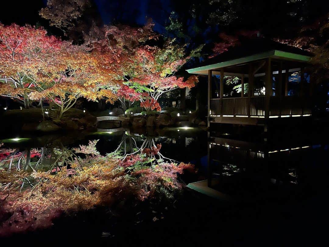 のインスタグラム：「#朝5時の絶景TIME 鏡のような水面に映る紅葉！  今朝は東京・杉並区　大田黒公園からお伝えしました！ 都内有数の紅葉スポットである大田黒公園。日本庭園として美しく整備されています。現在期間限定でライトアップイベントが行われています。 園内の池の周りでは、鏡のような水面に映る紅葉を楽しめます！ 今朝は風もほとんどなく、早朝の冷たい空気の中まるで別世界のような景色でした...！ OAの直前に1羽の鴨が池に飛び込んだのですが、その波紋が広がる様子も、静まっていく様子も風情がありました☺️ ライトアップが始まる午後5時直後は人が多いので、平日の午後7時ごろがおすすめの時間帯だそうです！ ライトアップは日曜日まで楽しめます！  #thetime_tbs  #大田黒公園  #大田黒公園紅葉ライトアップ  #紅葉 #荻窪 #紅葉スポット  #tbs #tbsアナウンサー  #篠原梨菜」