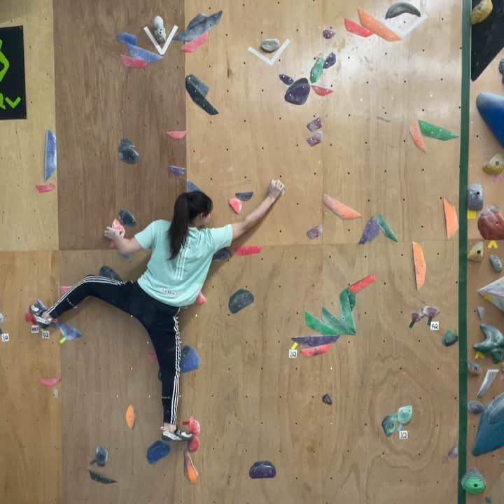 大場美和のインスタグラム：「痛みに負けて握る気のない人の落ち方🙅‍♀️ #climbing #climbinggymproject  #daihold @project_daihold  #tamadic #adidas #pamo #浜崎治療院」