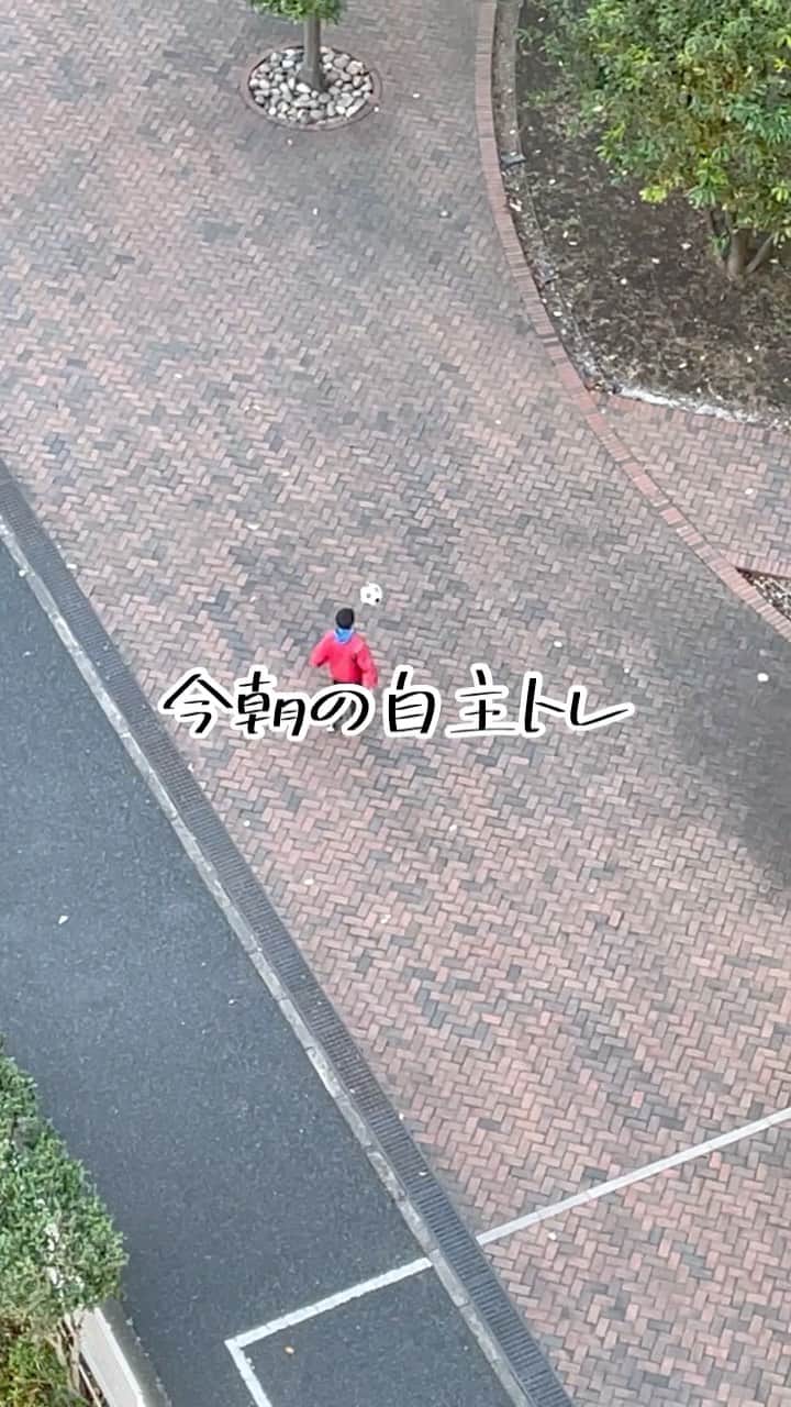 笹峯愛のインスタグラム：「デデさん 11月から始めた登校前の自主トレ。 なんと、続いております！  三日坊主に ならなきゃいいなぁと思っていたけど けっこう普通にやってる(´⊙ω⊙`)  母の方が、起きるの面倒で もう今日良いかな…とか思っているのだけど。  デデもそんな日あるんだろうけど 気分乗らない時も とりあえずボール蹴ってる（笑）」