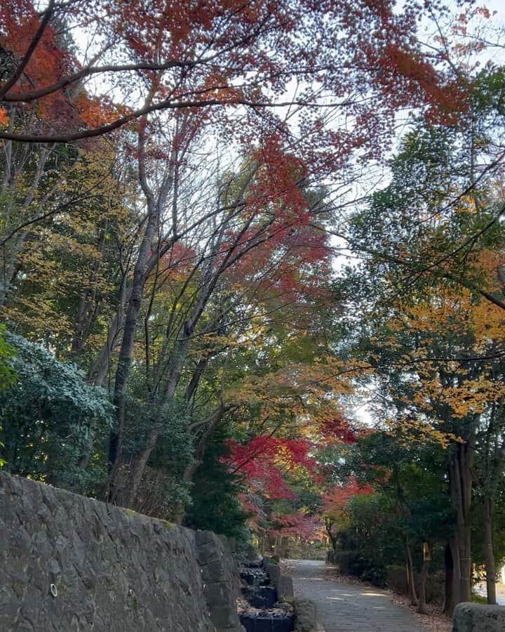 原日出子のインスタグラム