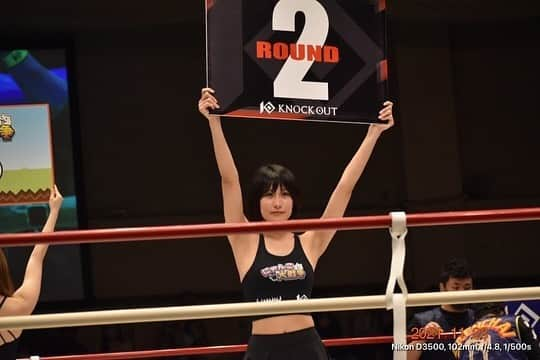 来栖うさこさんのインスタグラム写真 - (来栖うさこInstagram)「❤️‍🔥  KNOCK OUT ラウンドガール👊‼️  この前の、イベント写真を いただきました(((o(*ﾟ▽ﾟ*)o)))  #来栖うさこ  #齧り付きたいお尻 #愛媛県産グラドル #グラドル #グラビア #ショートカット女子 #お尻 #model #cosplayer #knockout #後楽園ホール」11月30日 23時28分 - kurusu_usako