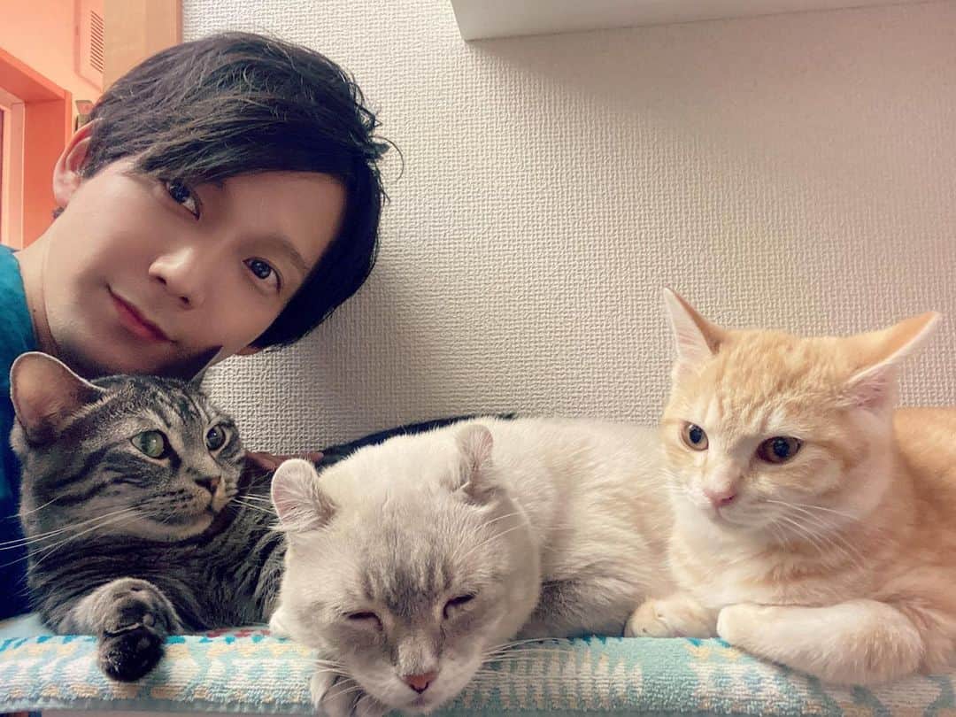 辻本祐樹さんのインスタグラム写真 - (辻本祐樹Instagram)「4匹仲良くやってます。」11月30日 21時25分 - tsujimotoyuuki