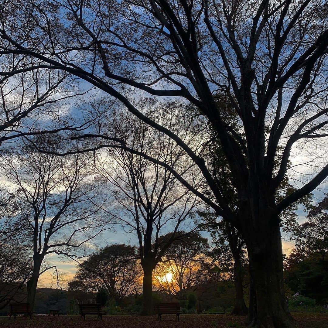 久保田紗友さんのインスタグラム写真 - (久保田紗友Instagram)「明日から12月。今年も残り1ヶ月、いい一年って、締めくくれるような毎日を過ごしたいです。」11月30日 21時28分 - kubotasayu